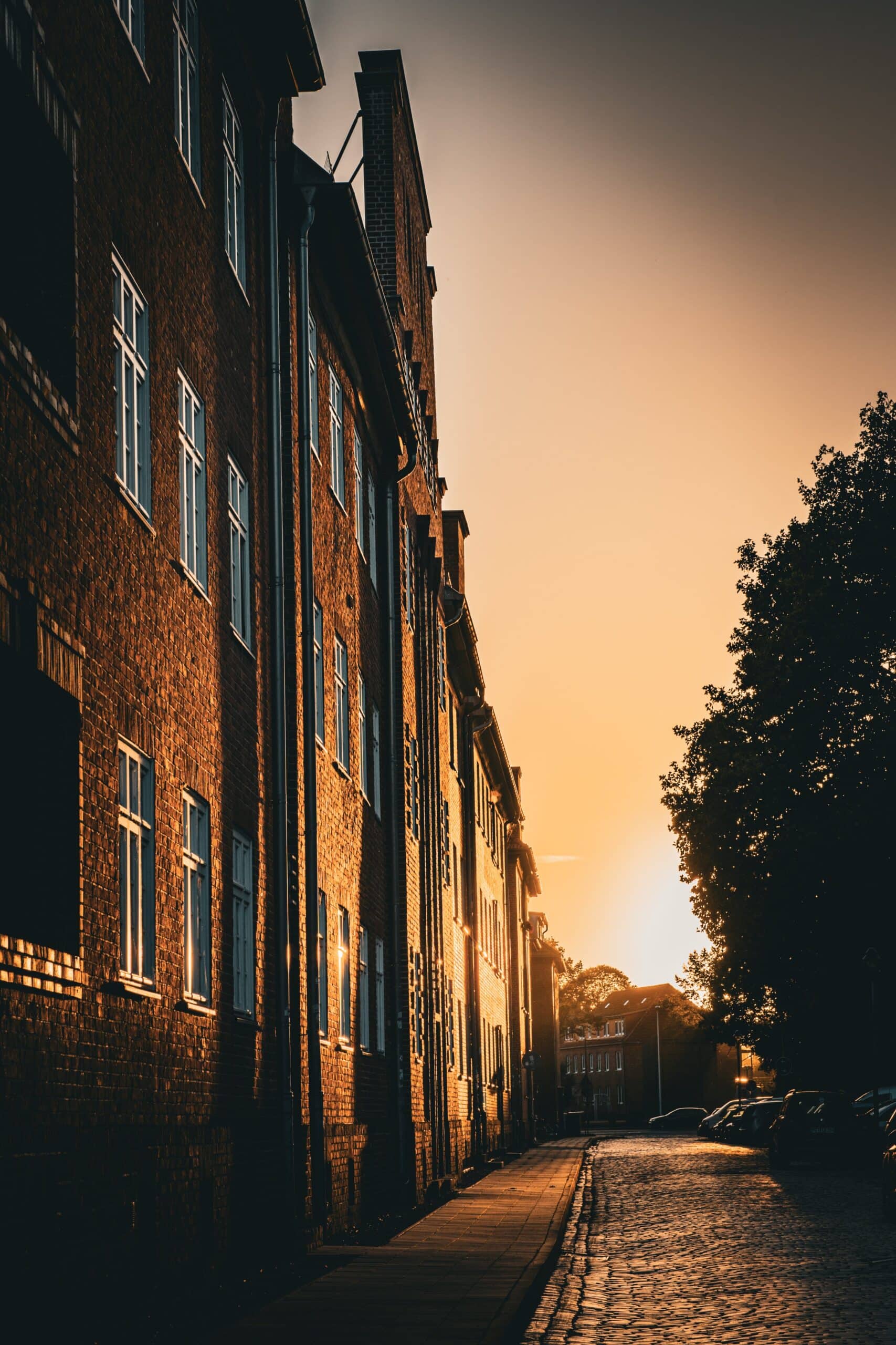 Street