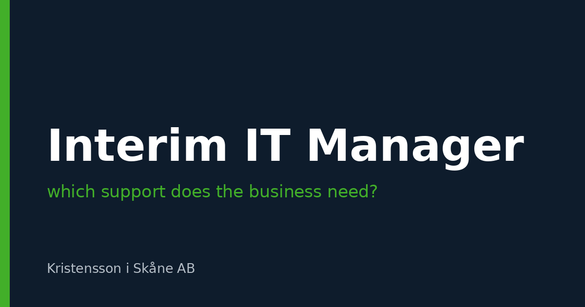 Interim IT manager or IT consultant – which support does the business actually need?
