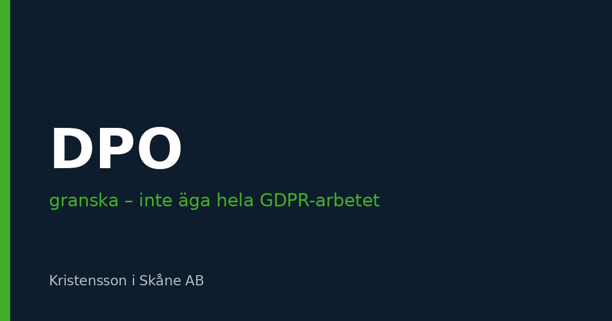 Dataskyddsombudet ska granska – inte äga hela GDPR-arbetet